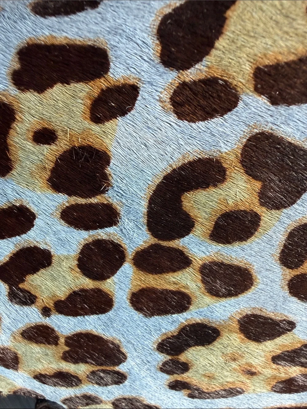 Sharif Blue and Leopard-Calf Hair Print Top-Handle Satchel - Picture 3 of 15
